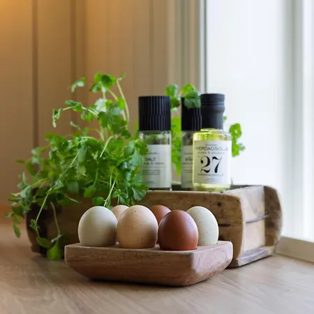 度假居 Tommerhuset Pa Brekketunet *